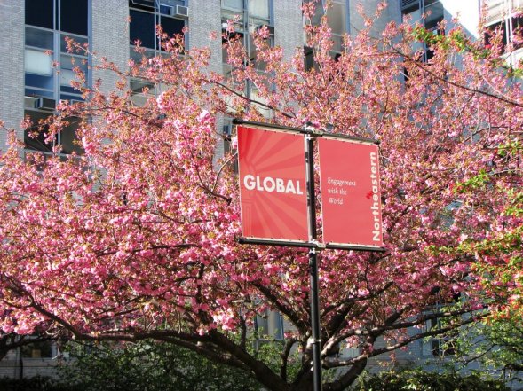 Photo by Digitalmama. Used with permission. 